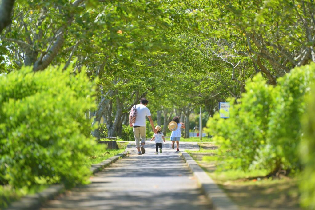 景観舗装のイメ景観舗装